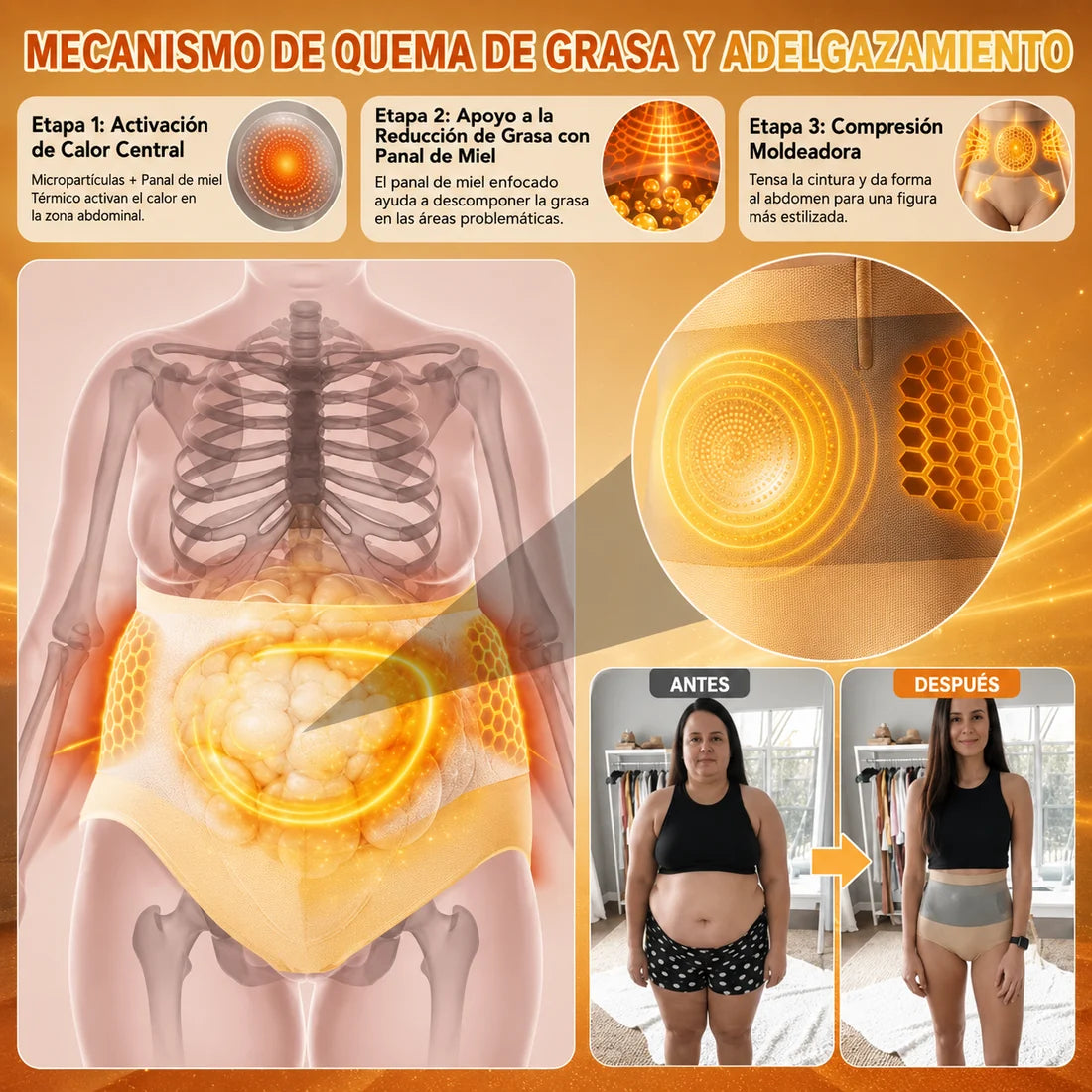Distribuidor Oficial - Short Moldeador Térmico 4 en 1 Con micropartículas de moringa y Berberina - OFERTA x 3